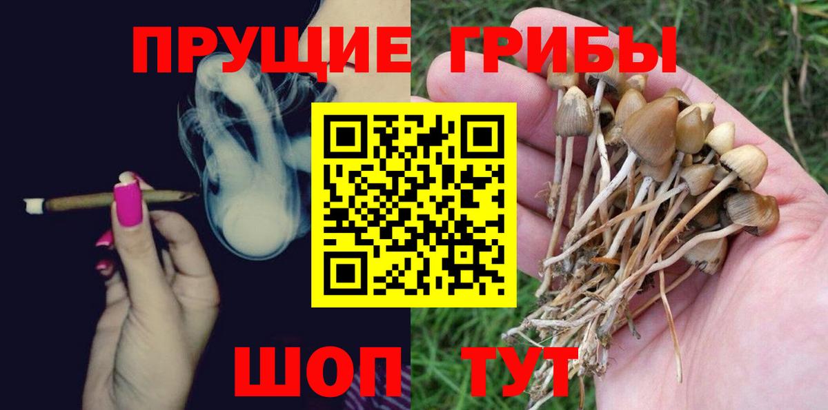 Галлюциногенные грибы Psilocybine cubensis Калач-на-Дону